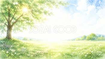 草原と一本の木 木漏れ日背景【無料・高画質PNG】自然風景イラスト93238