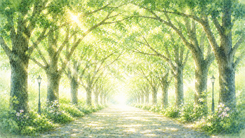 木漏れ日の並木トンネル背景【無料・高画質PNG】幻想的な自然イラスト93242