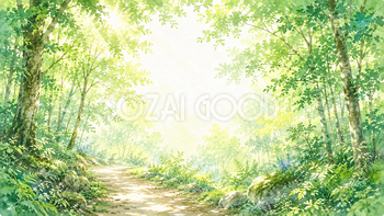 深い森の遊歩道 森林浴・癒やし背景【無料・高画質PNG】93260