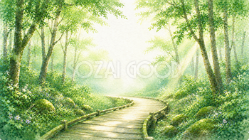 森の木道 森林浴・癒やし背景【無料・高画質PNG】93266