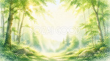 朝の森 森林浴・癒やし背景【無料・高画質PNG】93267