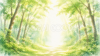 光あふれる森林 森林浴・癒やし背景【無料・高画質PNG】93270