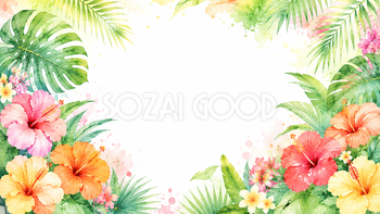 ハイビスカスガーデン背景【無料・高画質PNG】南国植物イラスト93301