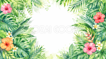 グリーンウォール背景【無料・高画質PNG】植物ボタニカルデザイン93306