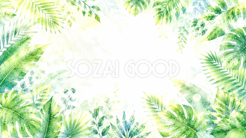 光あふれるボタニカル背景【無料・高画質PNG】透明感ある植物背景93309