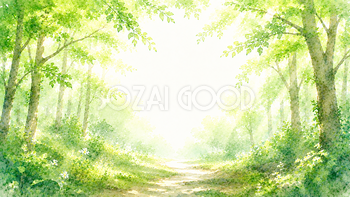 森の小道背景・フレーム【無料・高画質PNG】木漏れ日・森林イラスト93328