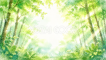森林浴背景・フレーム【無料・高画質PNG】癒やし・森林イラスト93330