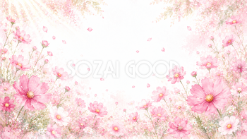 ピンクコスモス背景・フレーム【無料・高画質PNG】93379
