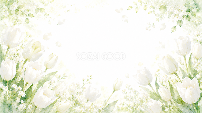 ホワイトチューリップ背景・フレーム【無料・高画質PNG】春のおしゃれ花背景素材93449