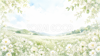 白い花畑背景・フレーム【無料・高画質PNG】爽やかな自然風景素材93450
