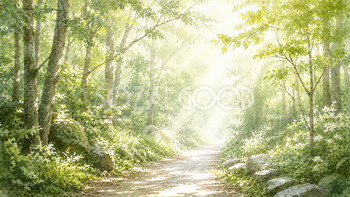 朝の森と木漏れ日の背景素材｜森林浴を感じる自然風景【無料】93533