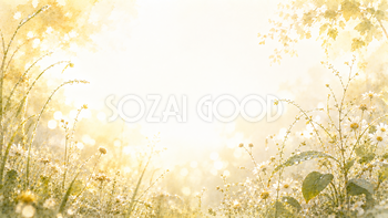 Morning Dew Light 背景素材【無料PNG】朝露が輝く自然背景93592