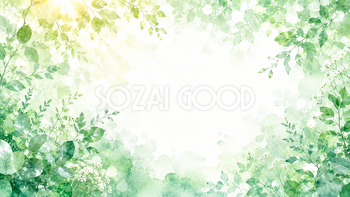 Emerald Botanical Light 背景素材【無料PNG】93613
