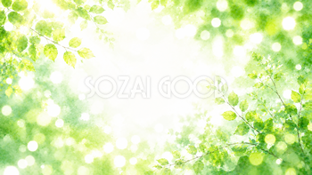 Fresh Leaf Bokeh 背景素材【無料PNG】93615