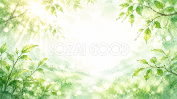 Morning Dew Green 背景素材【無料PNG】93619