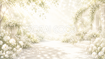 White Garden Glow 背景素材【無料PNG】93626