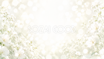  White Flower Bokeh 背景素材【無料PNG】93628