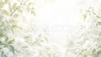 Morning Dew White 背景素材【無料PNG】93632