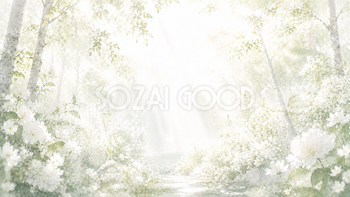 White Nature Harmony 背景素材【無料PNG】93635