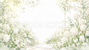 ホワイトチューリップ背景・フレームイラスト【無料・高画質PNG】93731