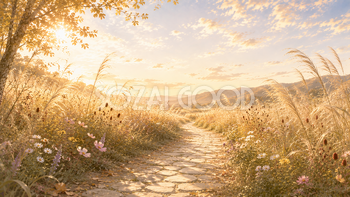 野花の散歩道背景【無料・高画質】ススキ・秋草・秋イラスト93900