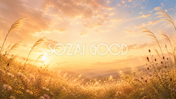 夕日に染まるススキ背景【無料・高画質】秋風・すすき・夕景イラスト93901