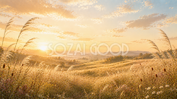 Premium Autumn Grassland背景【無料・高画質】ススキ・秋草・秋風イラスト93909