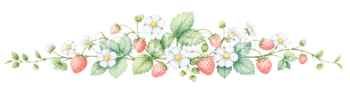 可愛い野いちごと白い小花の飾りライン｜無料イラスト素材94546