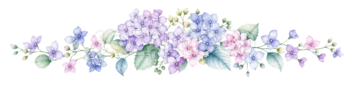 可愛い淡い紫陽花の飾りライン｜梅雨・初夏の無料イラスト素材94548