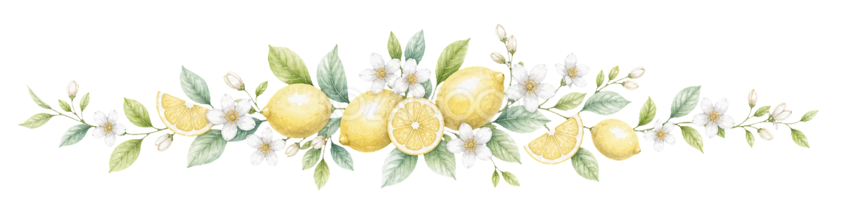 可愛いはちみつレモンと白花の飾りライン|カフェ用の無料イラスト素材94550