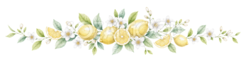 可愛いはちみつレモンと白花の飾りライン｜カフェ用の無料イラスト素材94550