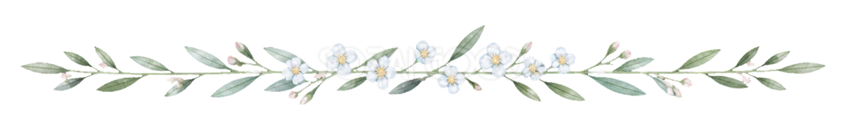 可愛いオリーブリーフと白花の飾りライン｜資料・メニュー用の無料イラスト素材94556