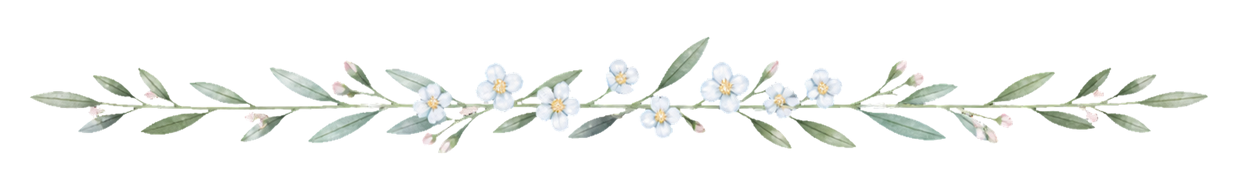 可愛いオリーブリーフと白花の飾りライン｜資料・メニュー用の無料イラスト素材94556に写真・文字を入れる