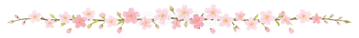 可愛い桜と花びらの春ライン|無料イラスト素材94564