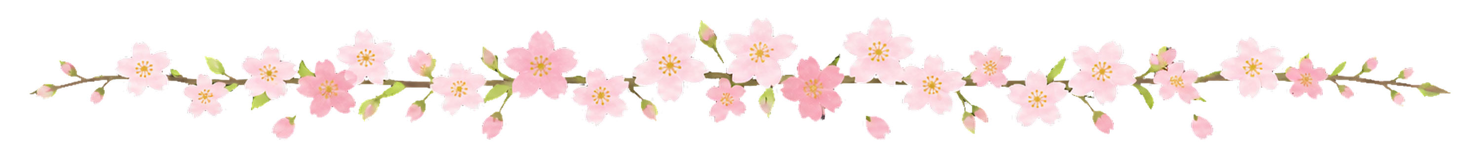 可愛い桜と花びらの春ライン｜無料イラスト素材94564に写真・文字を入れる