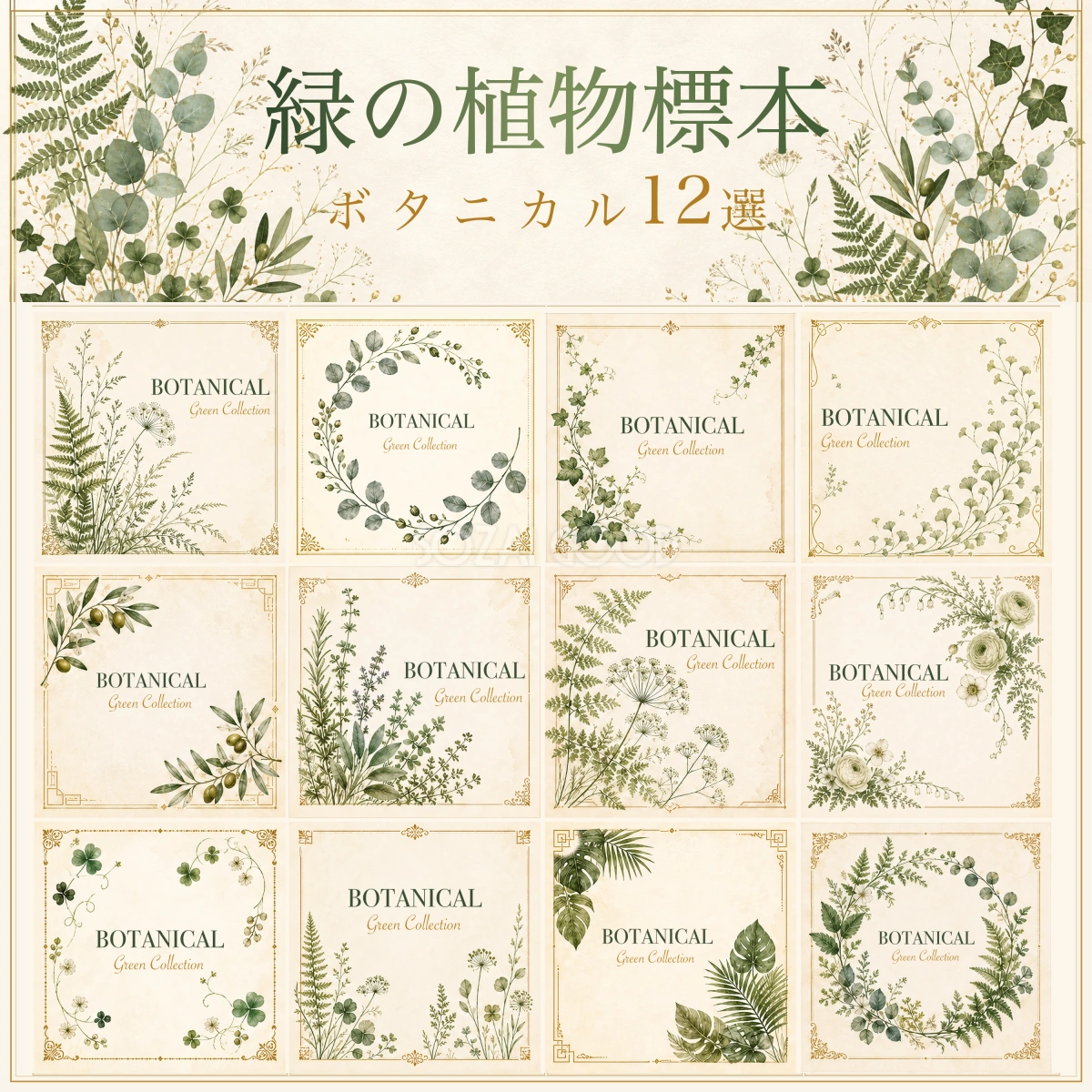 緑の植物イラスト12選｜上品なボタニカルフレーム素材・シリーズ第4集94742