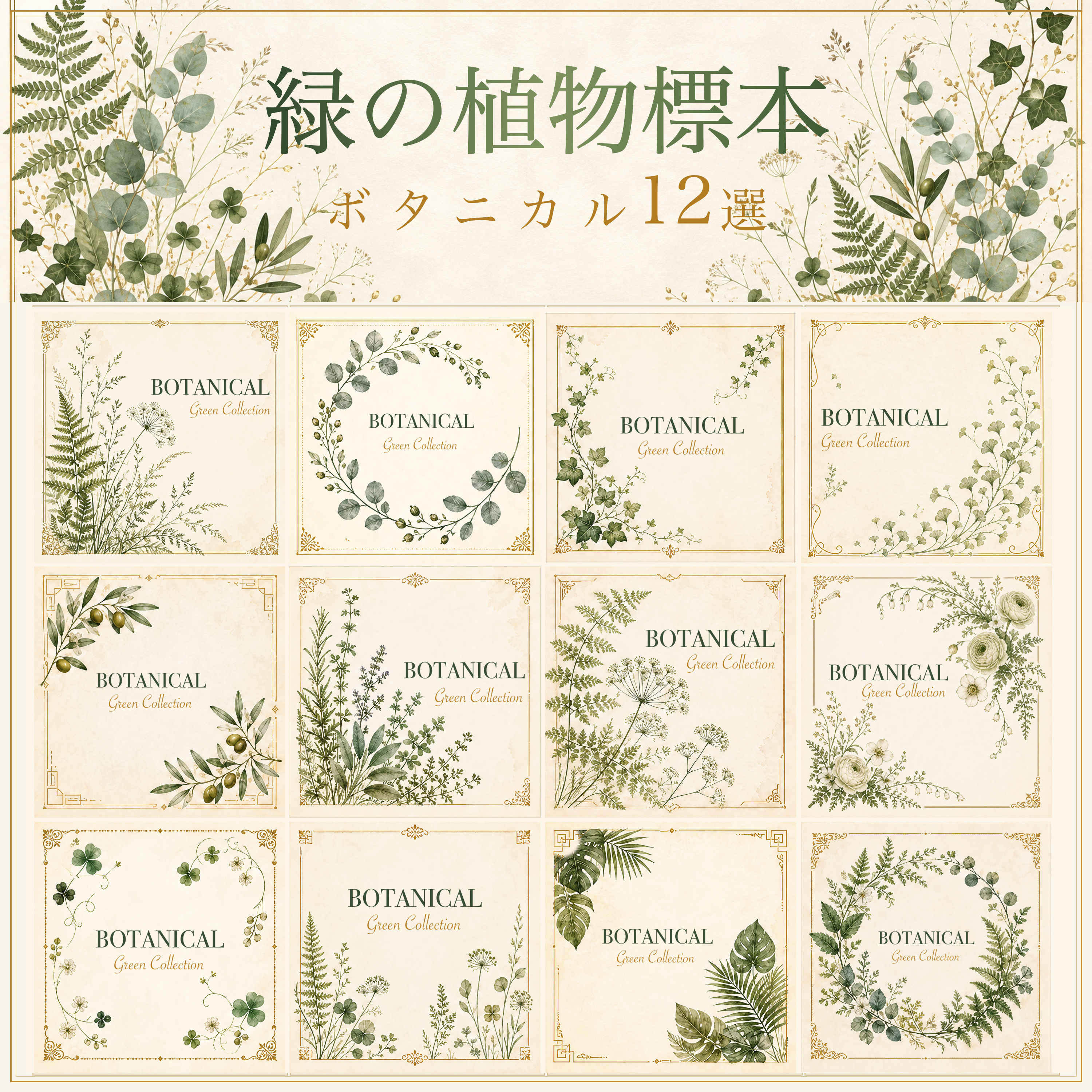 緑の植物イラスト12選｜上品なボタニカルフレーム素材・シリーズ第4集94742に写真・文字を入れる