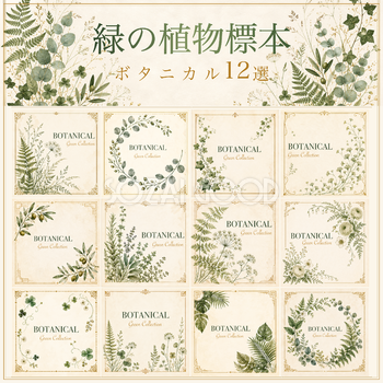 緑の植物イラスト12選｜上品なボタニカルフレーム素材・シリーズ第4集94742
