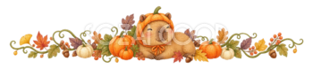 カピバラとかぼちゃのハロウィン区切り線・ラインイラスト95180
