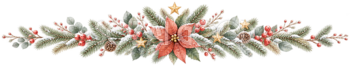 ポインセチアと常緑樹のクリスマス区切り線｜無料の絵本タッチイラスト素材95989