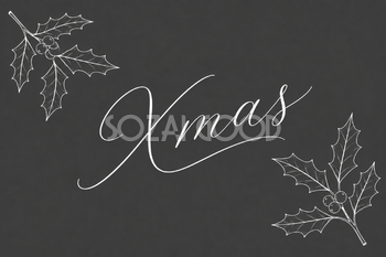白線のヒイラギと大きなXmas文字のメッセージカードイラスト96716