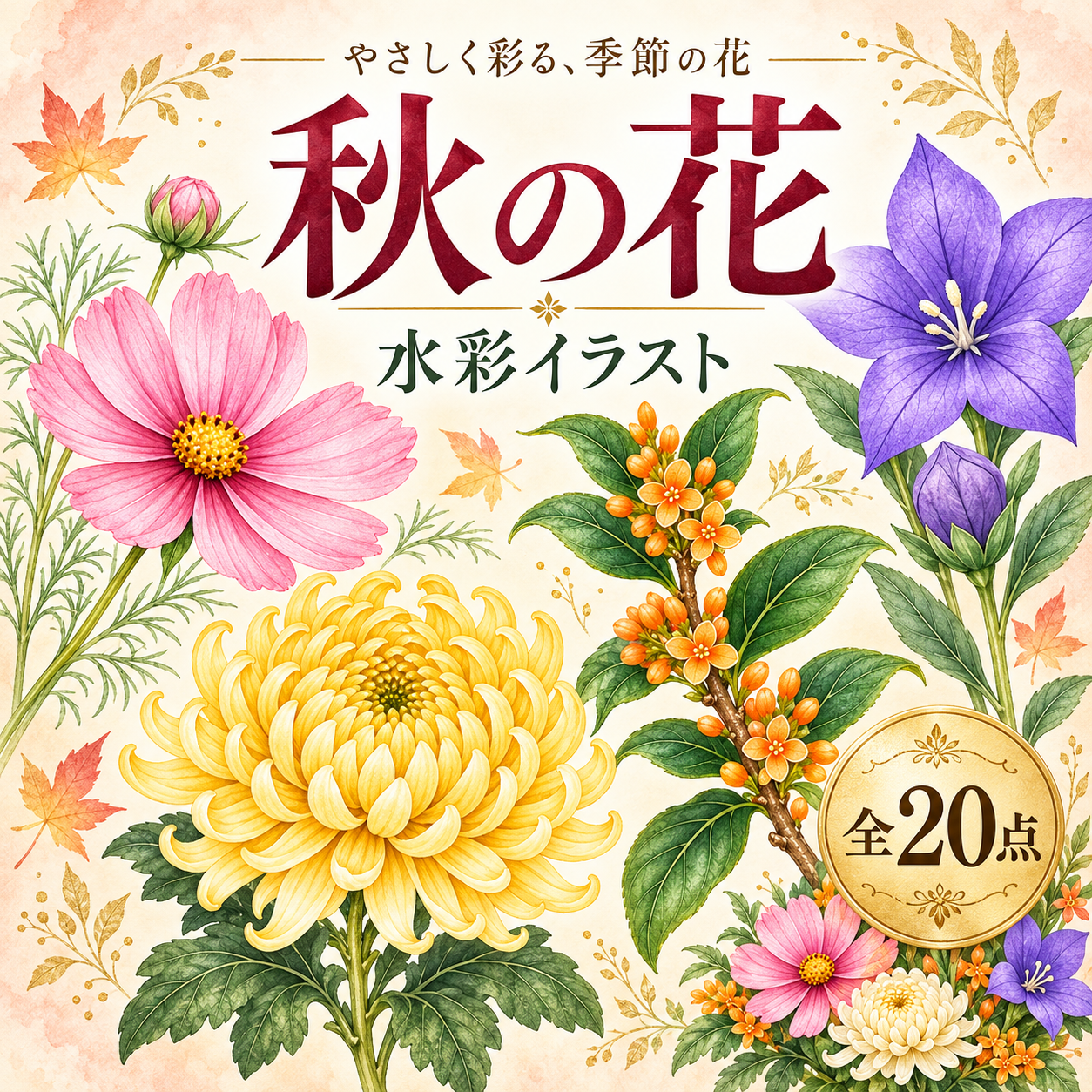 秋の花の水彩イラスト20選｜コスモス・菊・キンモクセイの無料素材 98357に写真・文字を入れる