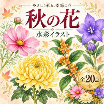 秋の花の水彩イラスト20選｜コスモス・菊・キンモクセイの無料素材 98357