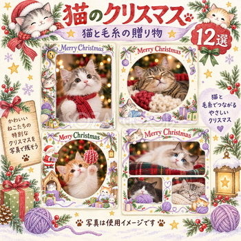 犬・猫のクリスマス写真フレーム12選｜猫と毛糸の贈り物の無料イラスト素材 99945