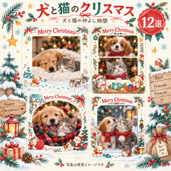 犬・猫のクリスマス写真フレーム12選｜犬と猫の仲よし時間の無料イラスト素材 99958